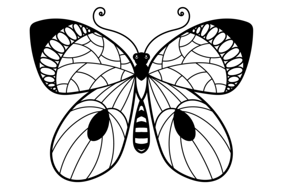 Download Ornate Butterfly with Decorative Pattern - Decorative pattern Collection