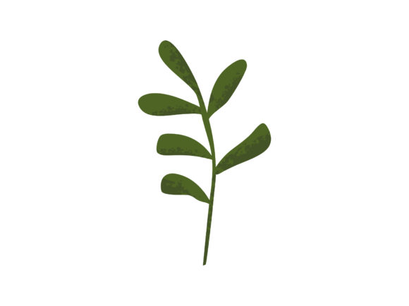 Download Leaves Decorative Elements Illustration - Decorative Collection